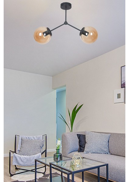 Focus Modern Tasarım Salon - Mutfak - Cafe - Hol - Yatak Odası Siyah Renk Bal Camlı 2 Li Avize
