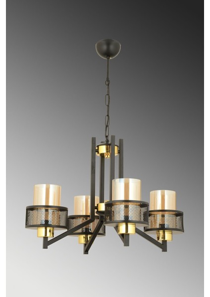 Sarp 4 Lü Modern (Siyah Gold) Bal Camlı Salon Yatak Odası Mutfak Genç Odası Avize