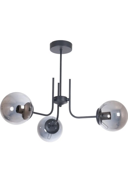 Tanya Modern Tasarım Mutfak - Salon - Yatak Odası - Tavan Siyah Renk Füme Camlı 3 Lü Avize