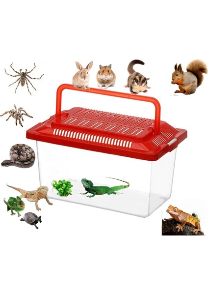 Sürüngen Kaplumbağa Hamster Balık Terra Faunarium Yaşam Alanı 25X15X17