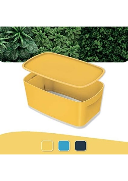 Cosy Mybox® Kapaklı Küçük Saklama Kutusu