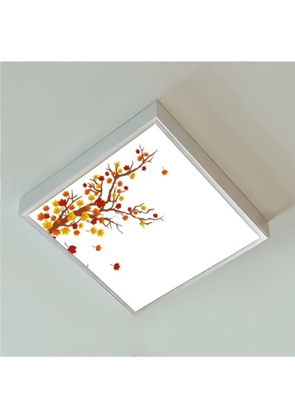 60WATT-GÜÇLÜ Işık-Özel TASARIM-60 x 60 Ledli Koridor Tavan Avize-Tavana Yapışık Yatak Odası LED Avize