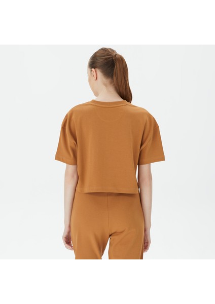 Unıted4 Classic Kadın Kahverengi Crop T-Shirt fiyatları