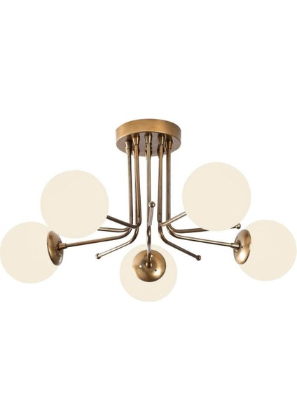 Daisy Modern Eskitme Renk Globe Beyaz Camlı Salon - Mutfak - Yatak Odası 5 Li Avize