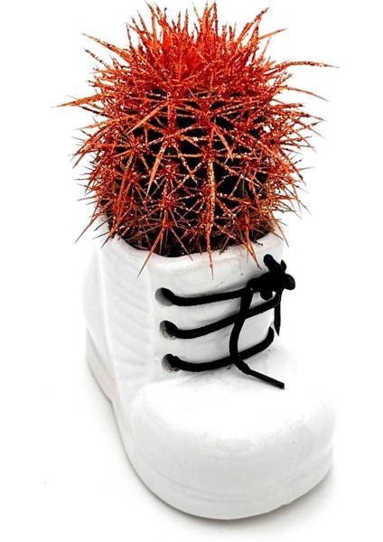 Seramik Ayakkabı Figürlü Saksı-Renkli Kaktüs-Dekoratif Obje