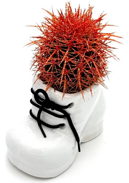 Seramik Ayakkabı Figürlü Saksı-Renkli Kaktüs-Dekoratif Obje fiyatları