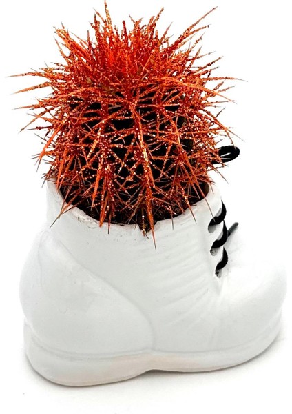 Seramik Ayakkabı Figürlü Saksı-Renkli Kaktüs-Dekoratif Obje modelleri