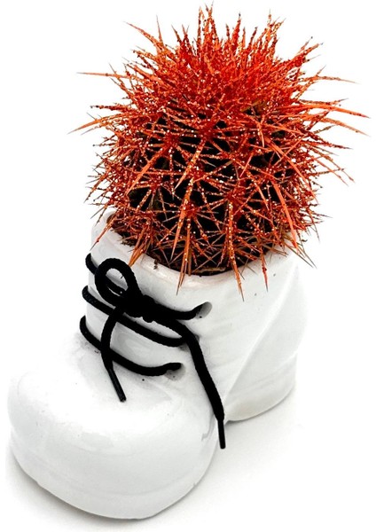 Seramik Ayakkabı Figürlü Saksı-Renkli Kaktüs-Dekoratif Obje fırsatları