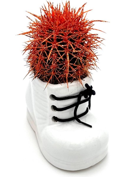 Seramik Ayakkabı Figürlü Saksı-Renkli Kaktüs-Dekoratif Obje indirimleri