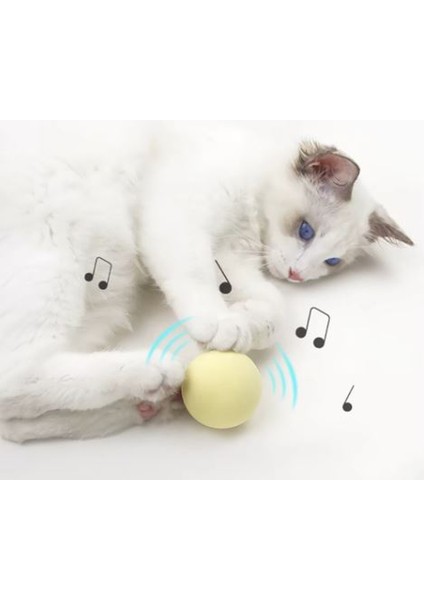Sesli Interaktif Kedi Oyuncağı, Interaktif Kedi Topu, Sesli Kedi Topu, Kedi Topu, Kedi Oyuncağı indirimleri