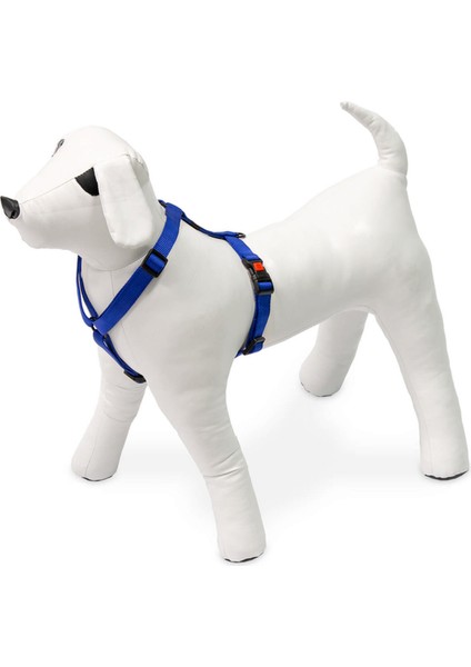 Köpek Göğüs Tasması L Mavi 65-100x2,5 cm