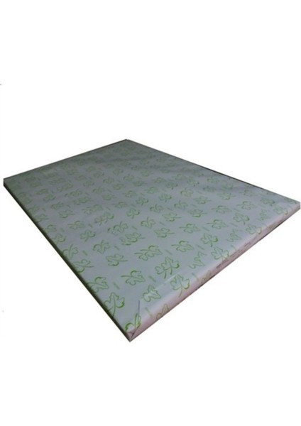 Amerikan Bristol Karton 70X100 cm 100 Adet 250G.