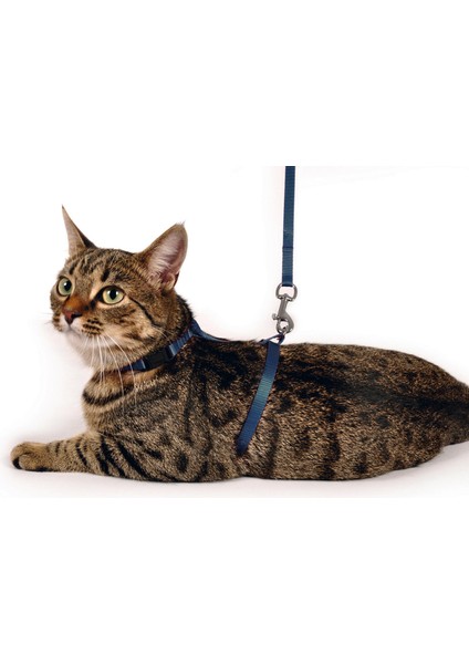 Kedi Göğüs Tasması Mavi 110 cm