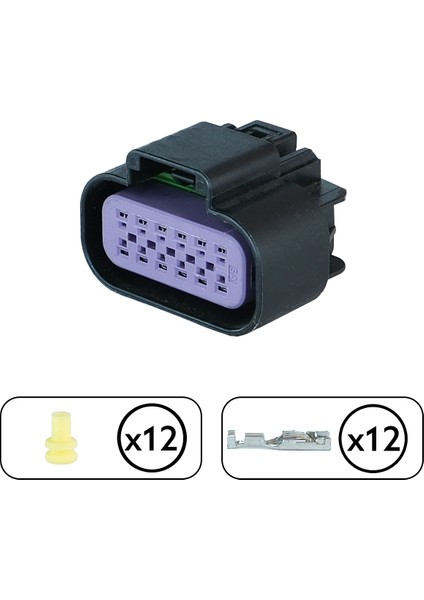 (Delphi) Soketi 12 Pin Kablosuz