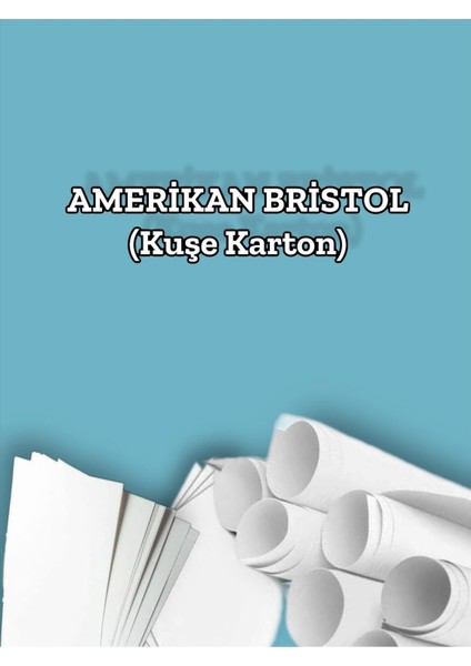 210 Gr. Amerikan Bristol Kağıt Karton 21X29,7 A4 Ebatında 50 Adet
