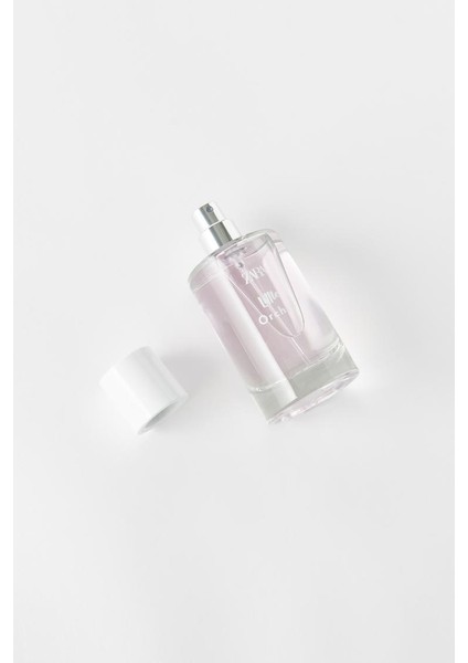 Litteorchid 50 ml modelleri