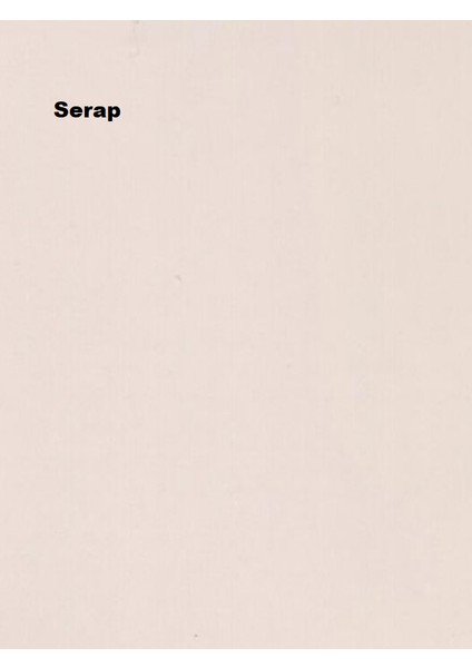 Maximum Silikonlu İpek Mat Serap 2,5 Lt. (3,5 kg)