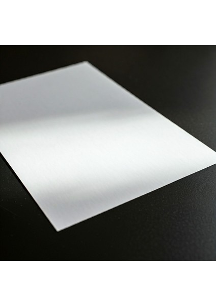 10 x 20 Adestor Marka 50 Adet Düz Yapışkanlı Parlak Kuşe Etiket Sticker