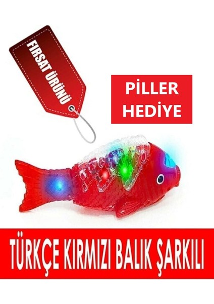 3 Adet Pil Hediye Müzikli Işıklı Pilli Yürüyen Türkçe Şarkılı Oyuncak Kırmızı Balık