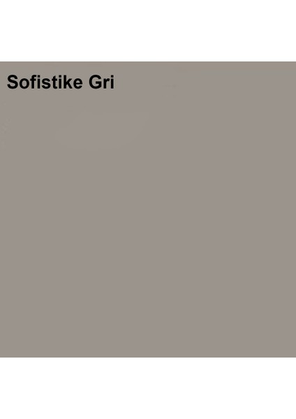 Maximum Silikonlu İpek Mat Sofistike Gri 15 Lt. (20 kg)