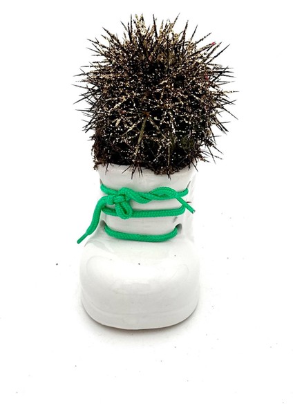 Seramik Ayakkabı Figürlü Saksı-Renkli Kaktüs- Dekoratif Obje