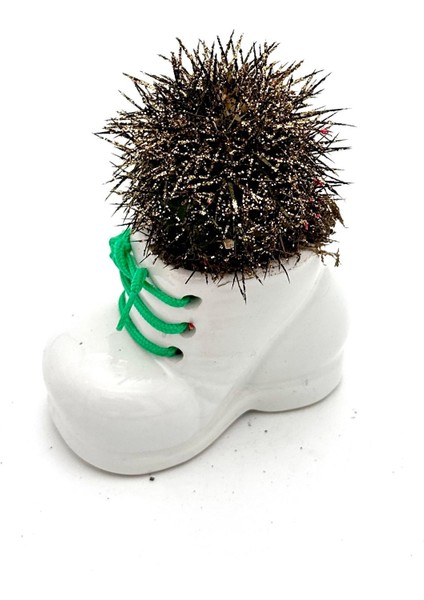 Seramik Ayakkabı Figürlü Saksı-Renkli Kaktüs- Dekoratif Obje fiyatları