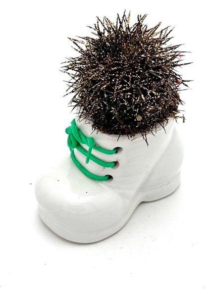 Seramik Ayakkabı Figürlü Saksı-Renkli Kaktüs- Dekoratif Obje fırsatları