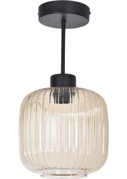 Münih Modern Salon - Mutfak - Yatak Odası Siyah Renk Camlı Tekli Tavan Plofonyer Avize