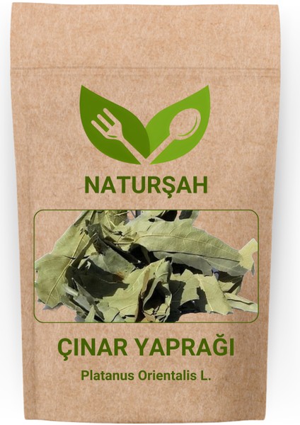Çınar Yaprağı (Platanus Orientalis L.) 500gr