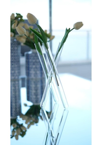 Cam Şamdan Çapraz Vazo x Vazo