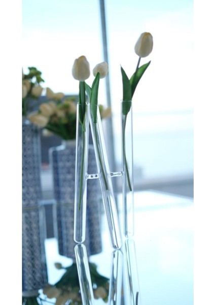 Cam Şamdan Çapraz Vazo x Vazo fırsatları