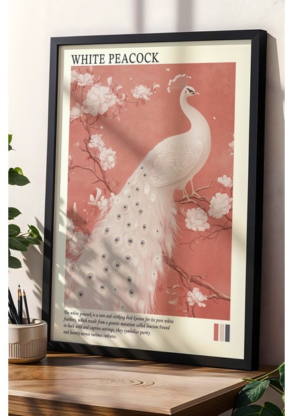 Beyaz Tavus Kuşu ve Çiçekler Doğal Ahşap Çerçeveli Duvar Tablosu