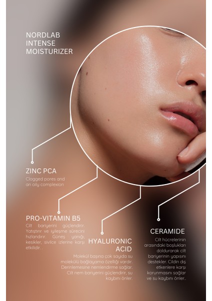 Yoğun Nemlendirici Yüz Bakım Kremi Tüm Cilt Tipleri İçin Hyaluronic Acid Ceramide Zinc PCA Shea Butter