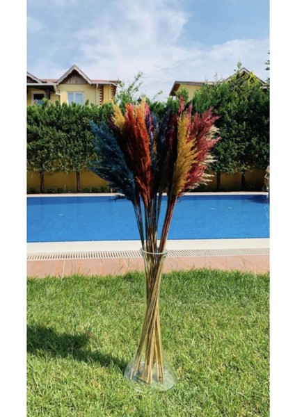 Karışık Pampas