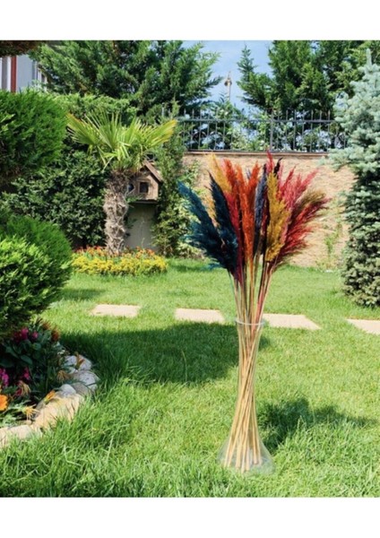 Karışık Pampas fiyatları