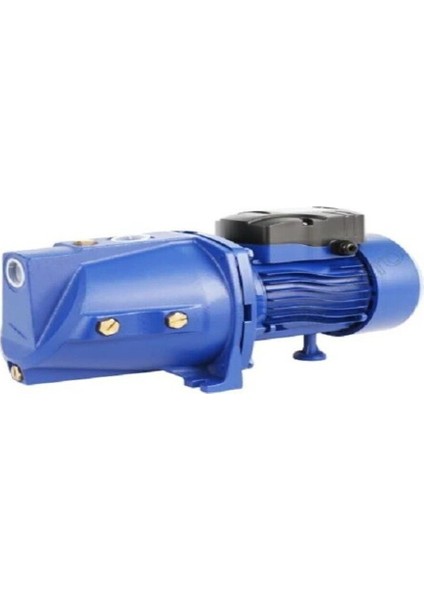 Water Ws-43 Jet 100L Döküm Gövdeli Pompa 1 Hp