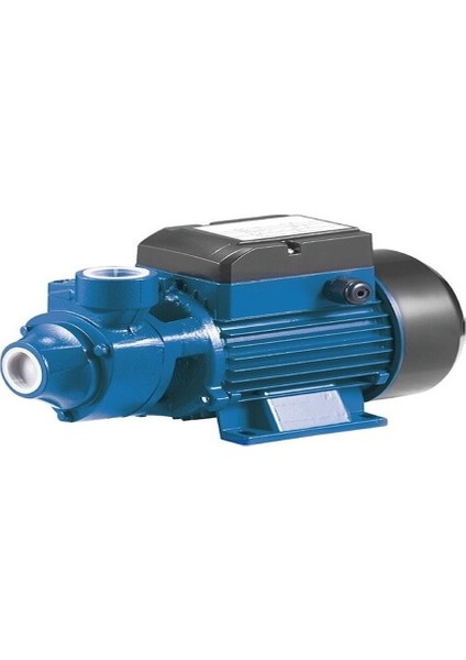 Rainpump QB70-0,7HP Santrifuj Pompa