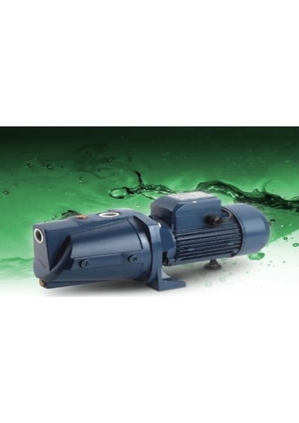 Dayuan 1 HP-220V-JET Santrifüj Su Pompası-Bakır Sargı-Bronz Fan