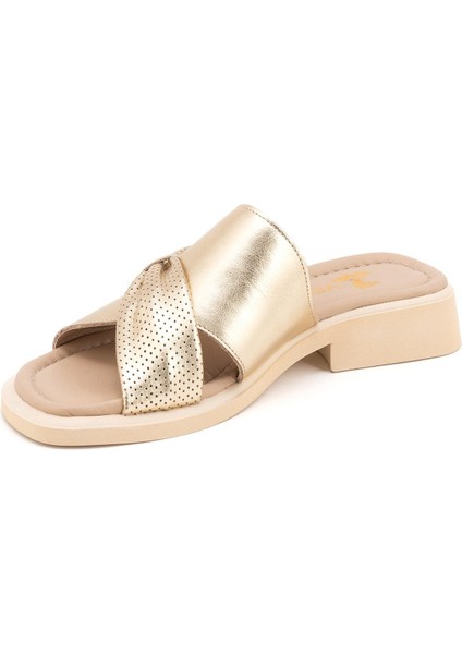 25322539 Kadın Terlik fırsatları