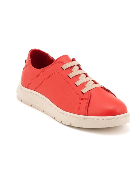 25458451 Kadın Ayakkabı fiyatları