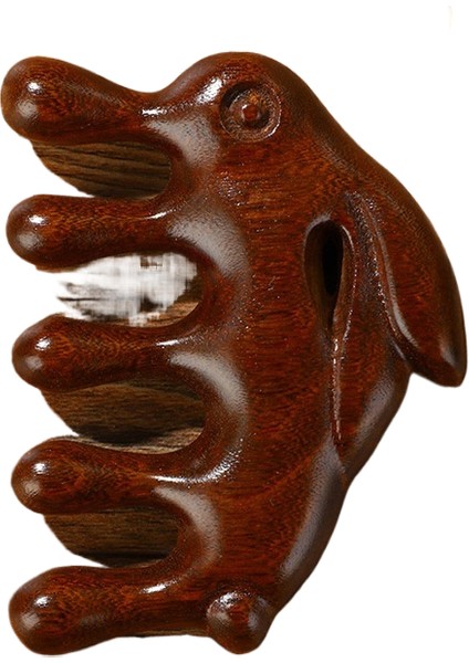 Çok Fonksiyonlu Masaj Kaburga Tarağı (Yurt Dışından)