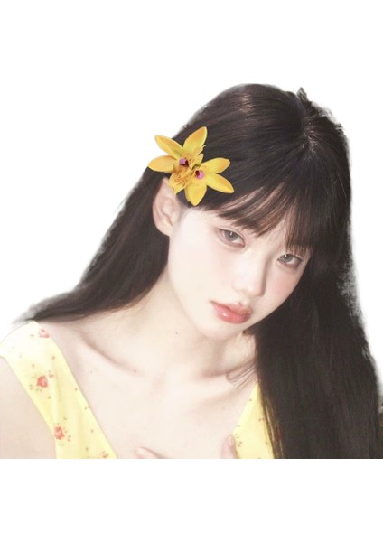 Saçak Plakası Saç Aksesuarları (Yurt Dışından)