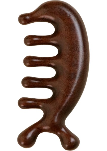 Çok Fonksiyonlu Masaj Kaburga Tarağı (Yurt Dışından)