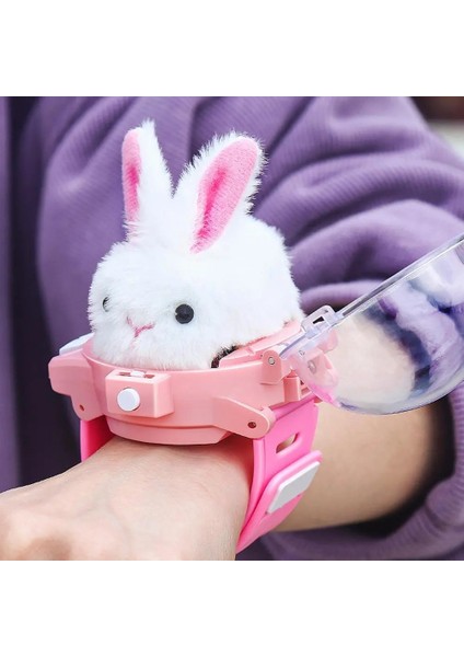 Çocuk Mini Rc Araba Izle Oyuncaklar LED Işıkları ile 2.4g Izle Tavşan Köpek Yengeç Yarışı Rc Araba Kız Erkek Doğum Günü Hediyesi Oyuncaklar (Yurt Dışından) fiyatları