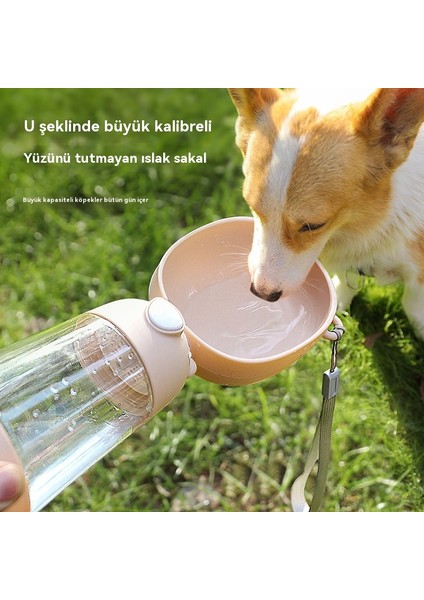 Köpekler Dışarı Çıkıyor (Yurt Dışından) fiyatları
