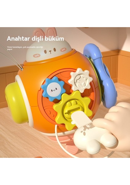 Ler ve Küçük Çocuklar Için Eğitici Tavşan Meşgul Top (Yurt Dışından) modelleri