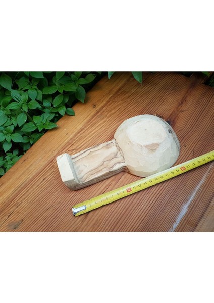 Zeytin Ağacı KAŞIKLIK_BEG_3053 1 Adet