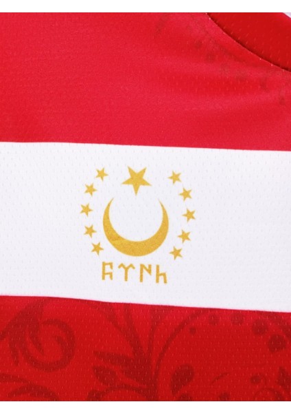 Kurt Motifli Yeni Nesil Türkiye Forması Tek Üst K0172 (Tek Kelime Isim ve Numara Yazılır) 128 indirimleri