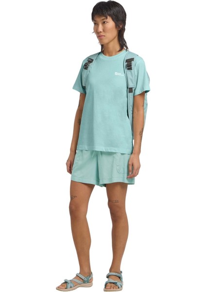 Essentıal T W modelleri