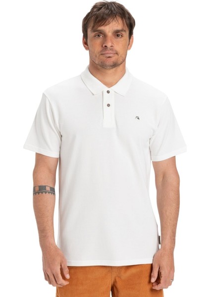 Dna Polo